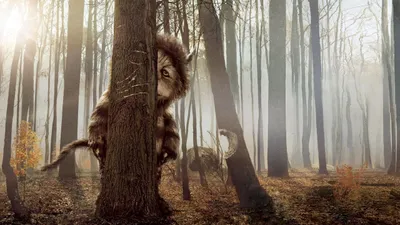 Arkadaşım Canavar izle