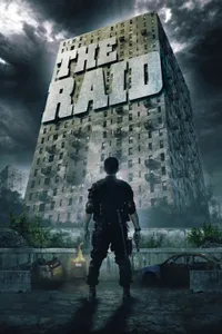 Raid Baskın serisi