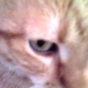 boreas07 adlı kullanıcı