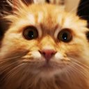 aynenziii adlı kullanıcı